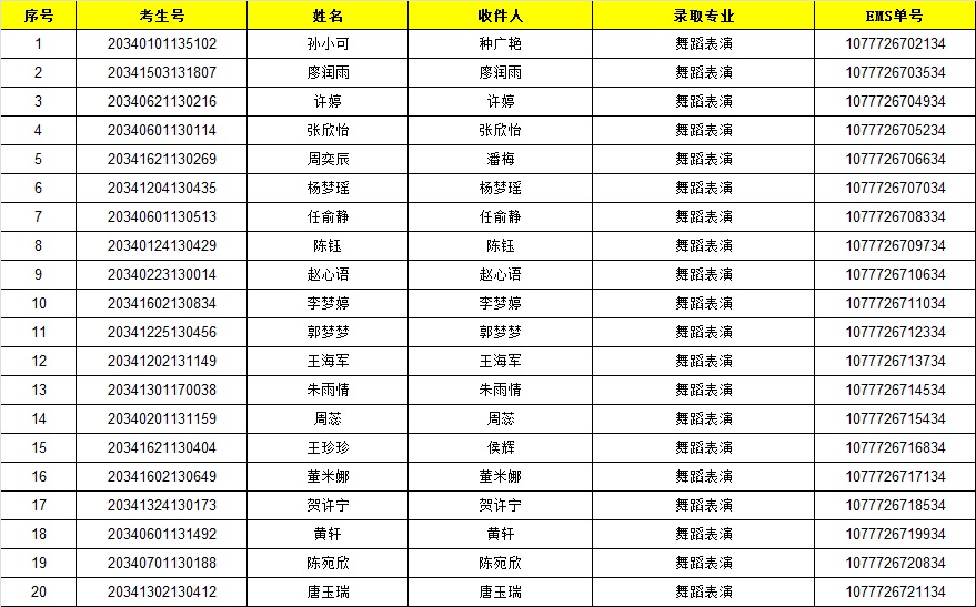 2舞蹈表演.jpg